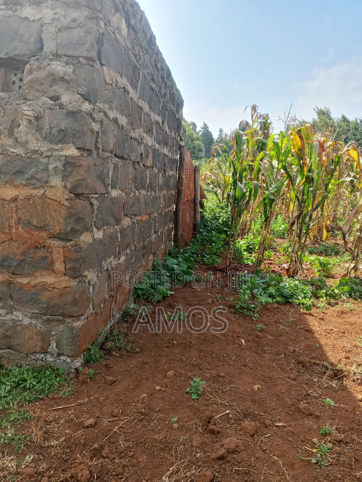 A Full 1⁄8ac Plot Sale in a Middle Class Area of Limuru Kamirithu