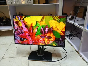 Dell P2425H
24 Inch 
100hz
Vga/Hdmi/Display