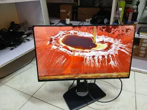 Dell P2425H
24 Inch 
100hz
Vga/Hdmi/Display