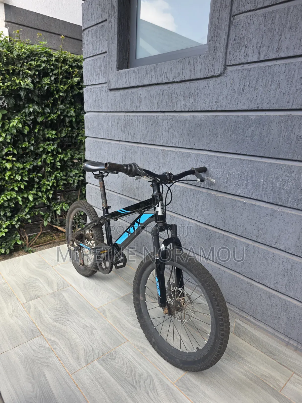 XTX Mountain Bike