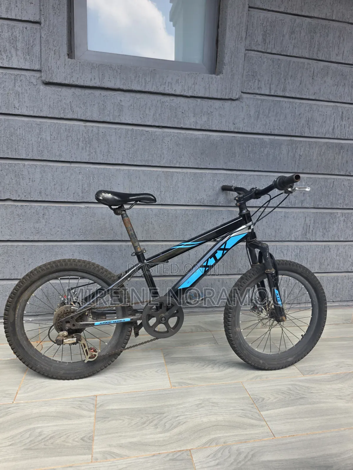 XTX Mountain Bike