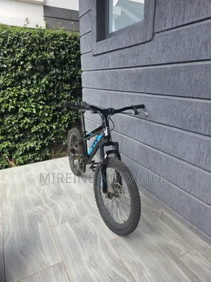 XTX Mountain Bike