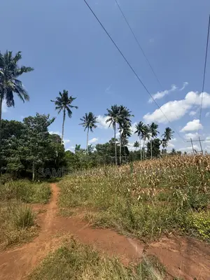 Affordable Plots for Sale Boman Kikambala