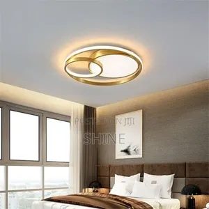Modern Geometric Ring Ceiling Light