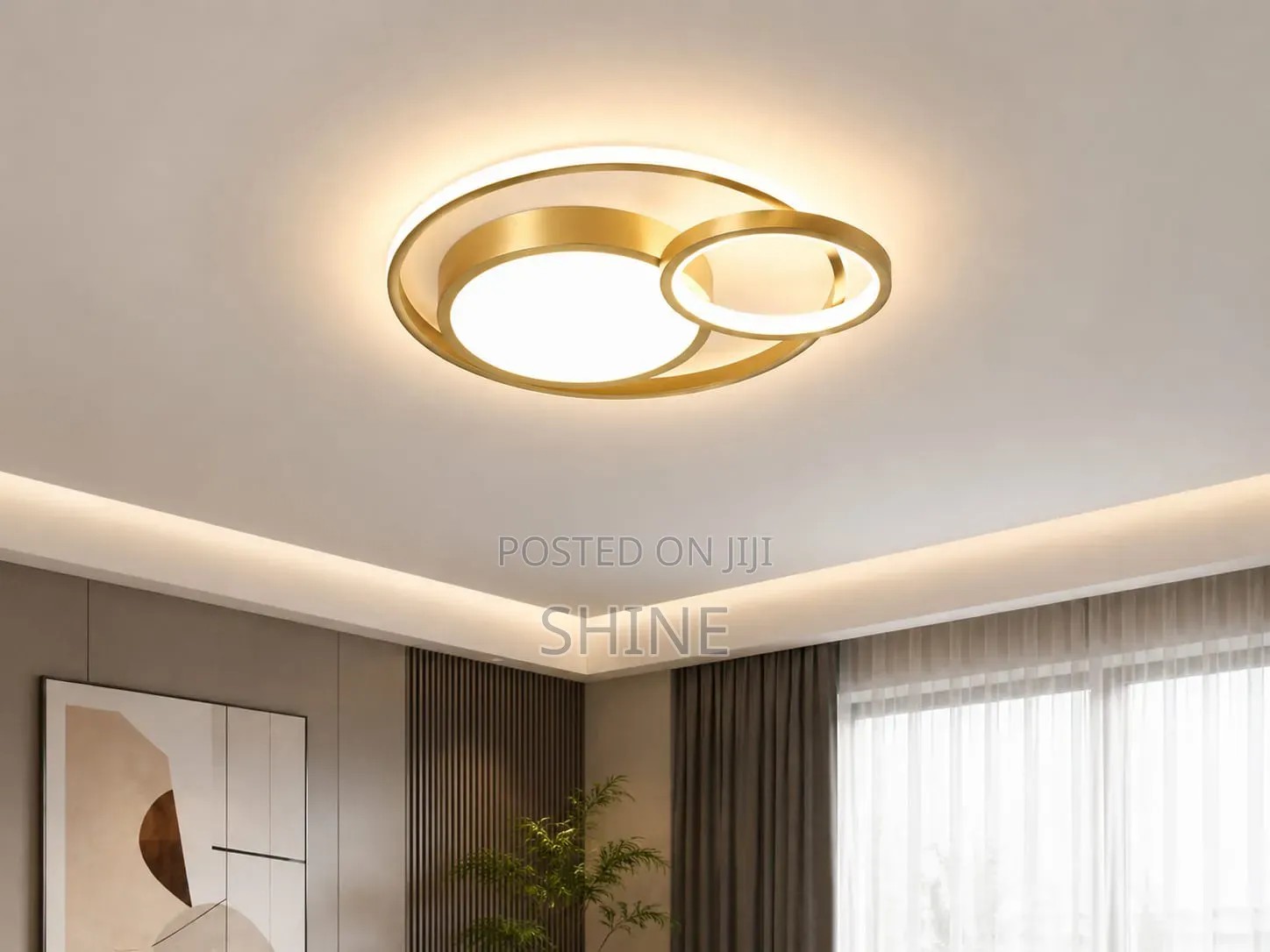 Modern Geometric Ring Ceiling Light