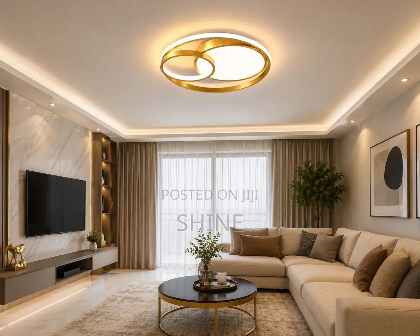 Modern Geometric Ring Ceiling Light