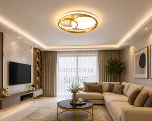 Modern Geometric Ring Ceiling Light