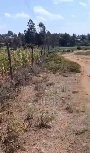 Plot for Sale - Mushroom Estate Eldoret (Ready Title Deed) KSH 