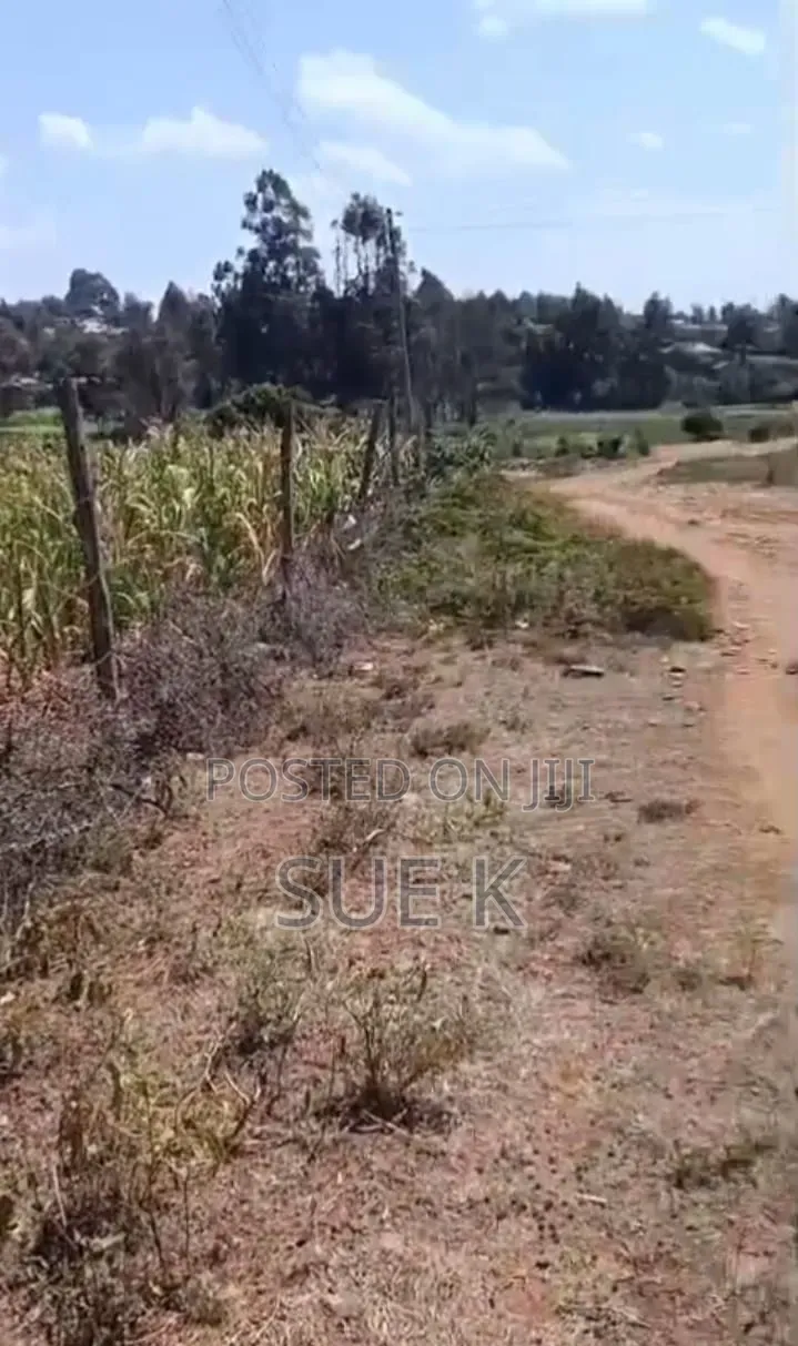 Plot for Sale - Mushroom Estate Eldoret (Ready Title Deed) KSH 