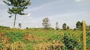 Prime 5 Acres Land for Sale