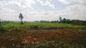 Prime 5 Acres Land for Sale