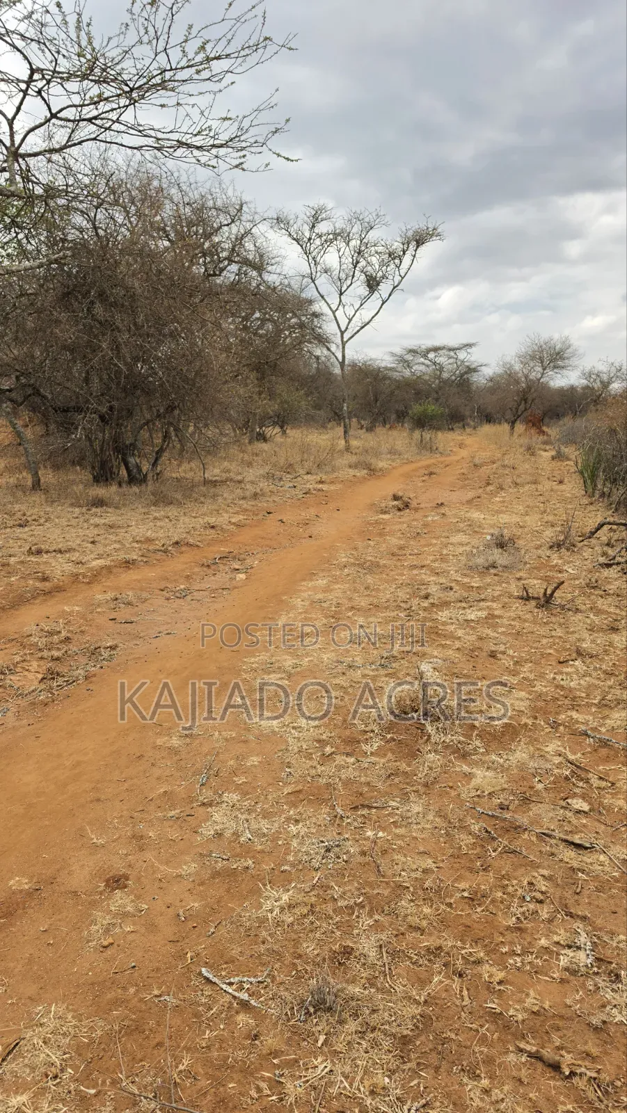 150 Acres Nkoile ,Off Namanga Road,at Per Acre