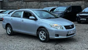 Toyota Axio 2010 Silver