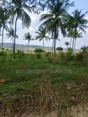 10 Acres for Sale in Kwale Shimba Hills as a Block With Seaviews