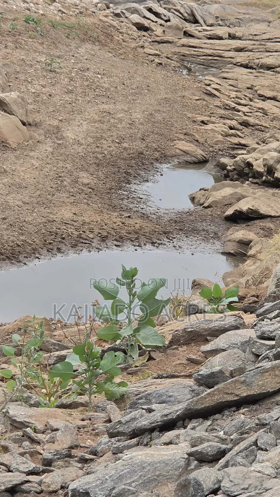 150 Acres Nkoile ,Off Namanga Road,at Per Acre