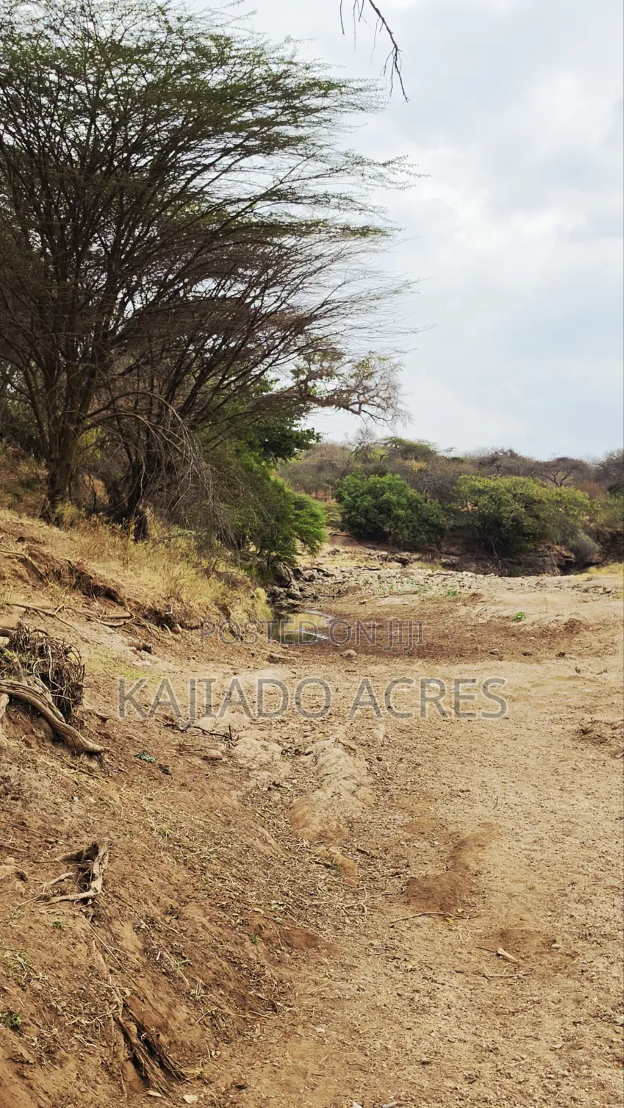 150 Acres Nkoile ,Off Namanga Road,at Per Acre