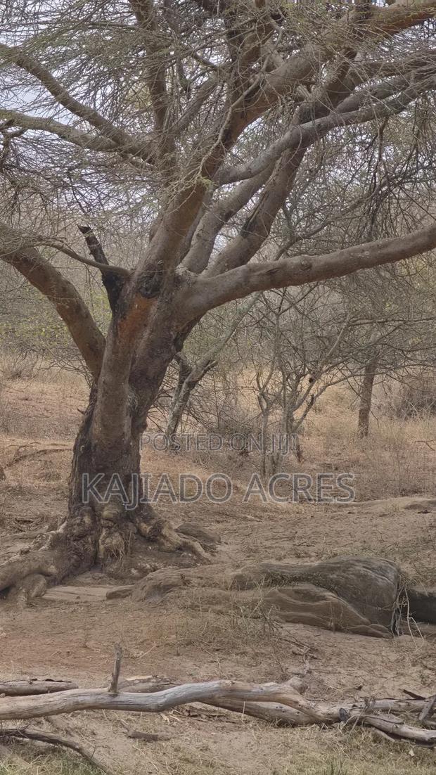 150 Acres Nkoile ,Off Namanga Road,at Per Acre - thumbnail 8