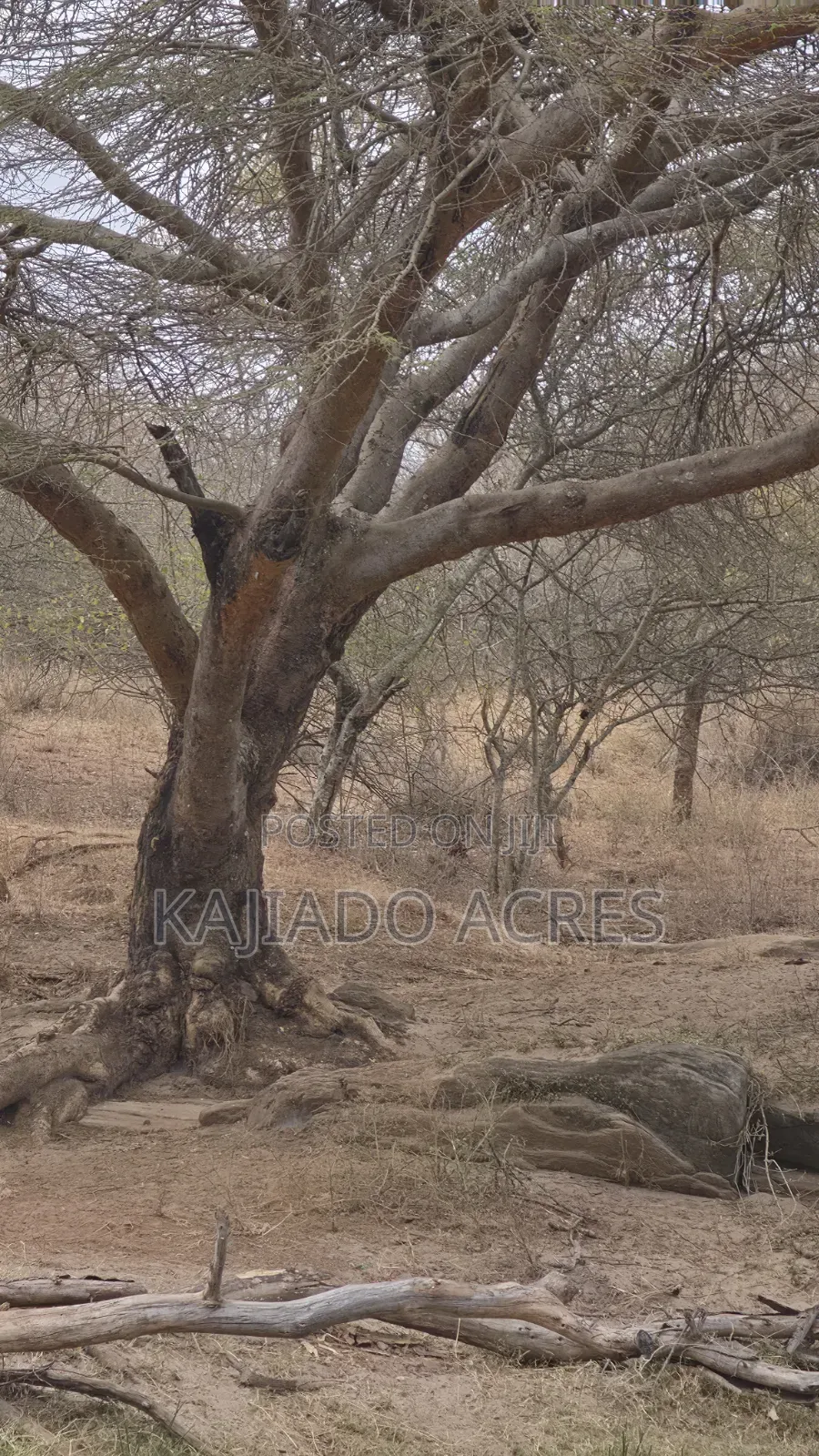 150 Acres Nkoile ,Off Namanga Road,at Per Acre