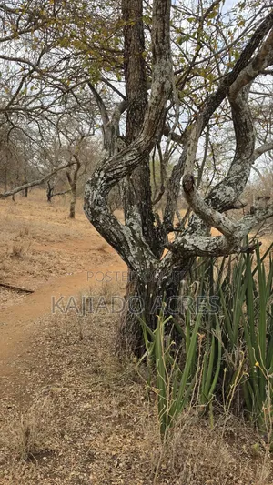 150 Acres Nkoile ,Off Namanga Road,at Per Acre
