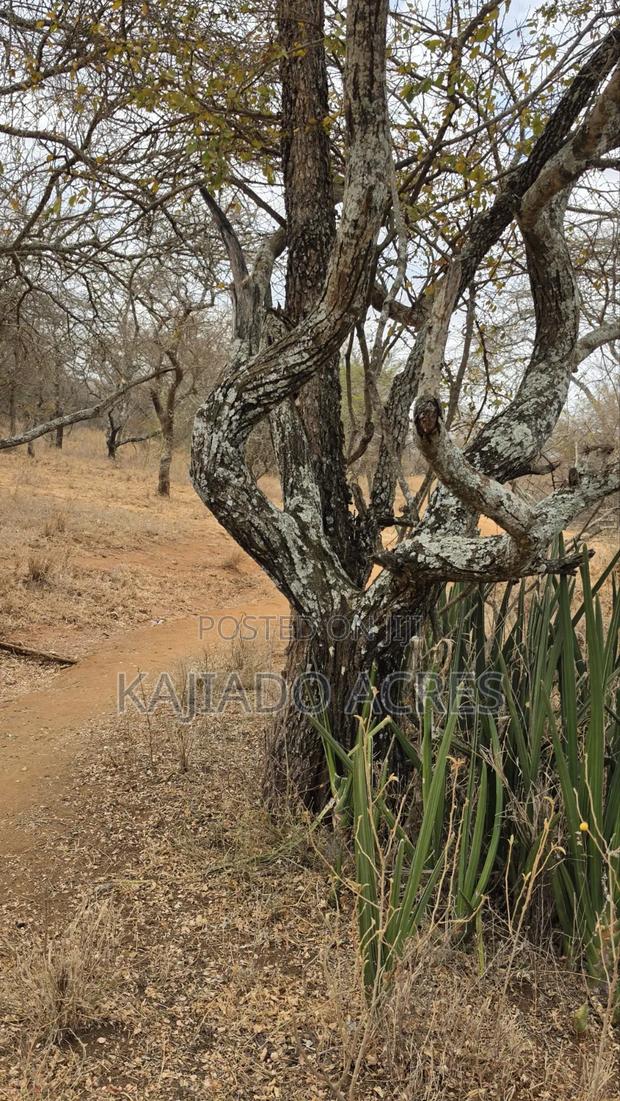 150 Acres Nkoile ,Off Namanga Road,at Per Acre - thumbnail 5