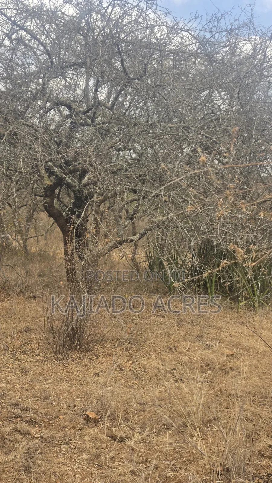 150 Acres Nkoile ,Off Namanga Road,at Per Acre