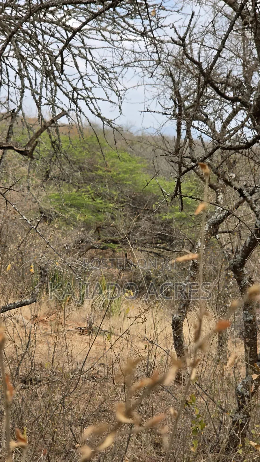 150 Acres Nkoile ,Off Namanga Road,at Per Acre
