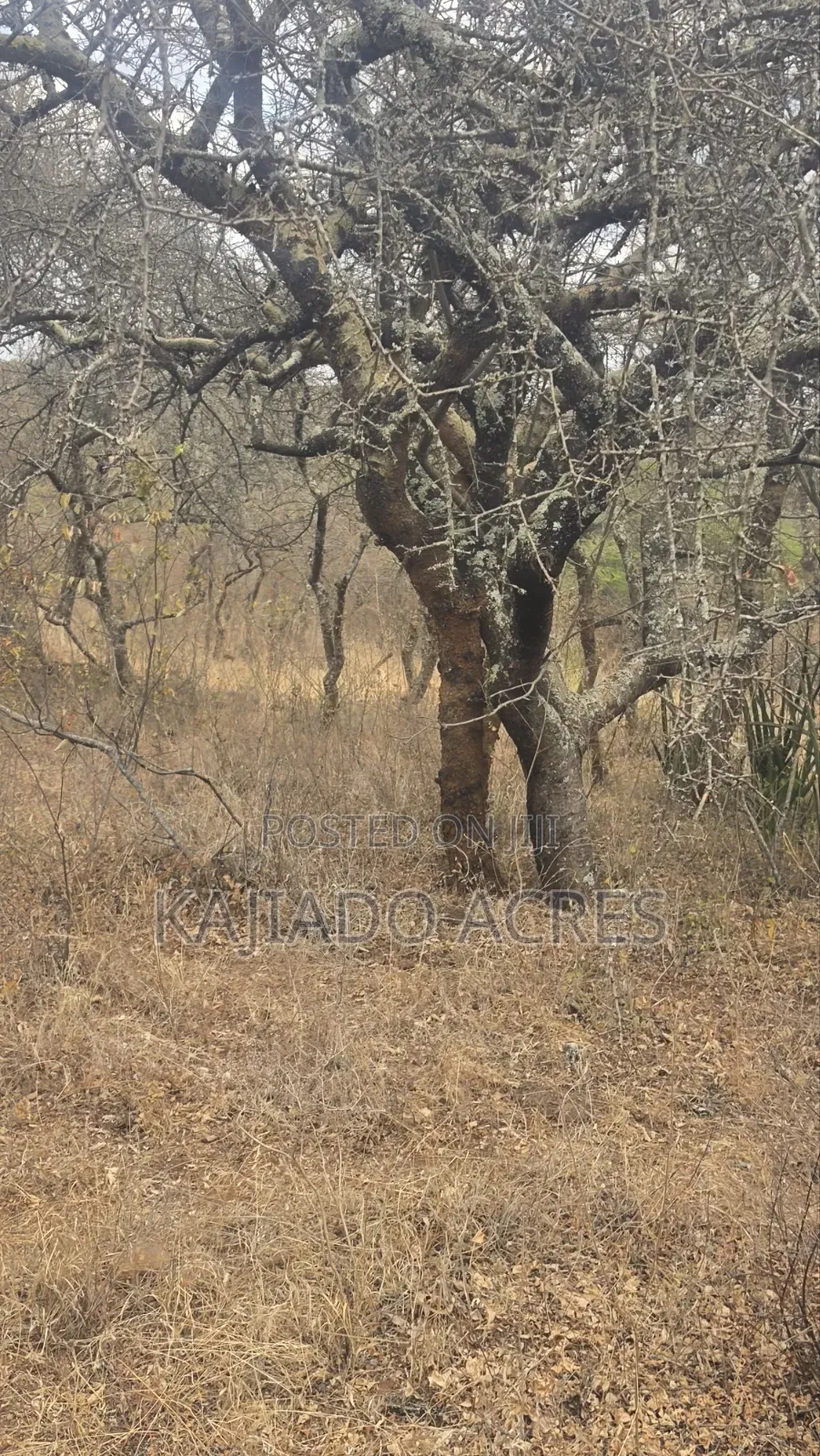 150 Acres Nkoile ,Off Namanga Road,at Per Acre