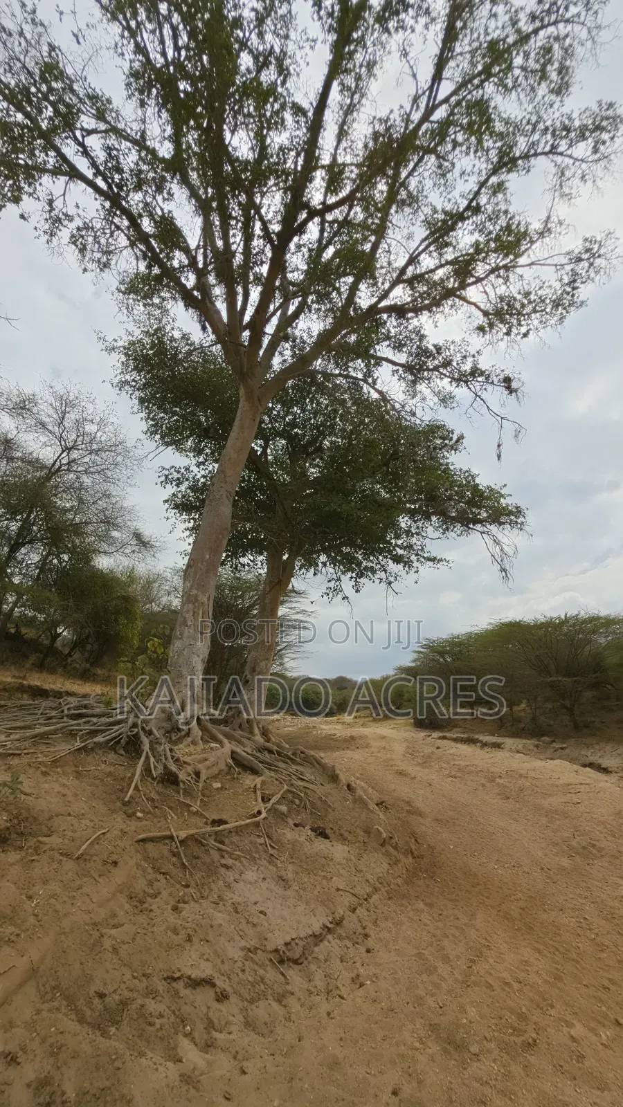 150 Acres Nkoile ,Off Namanga Road,at Per Acre
