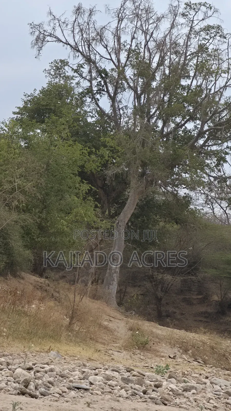150 Acres Nkoile ,Off Namanga Road,at Per Acre