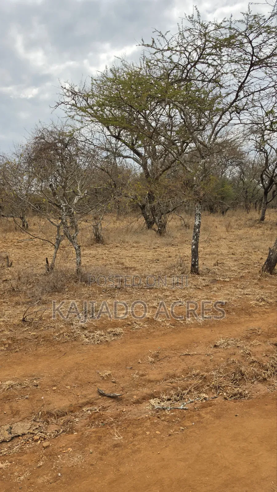 150 Acres Nkoile ,Off Namanga Road,at Per Acre