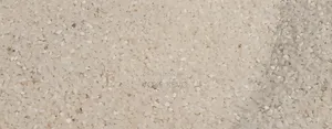 Broken Dog Rice