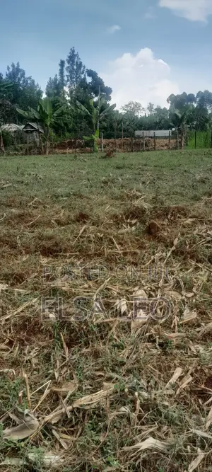 Plot for Sale: Mosocho, Kisii County