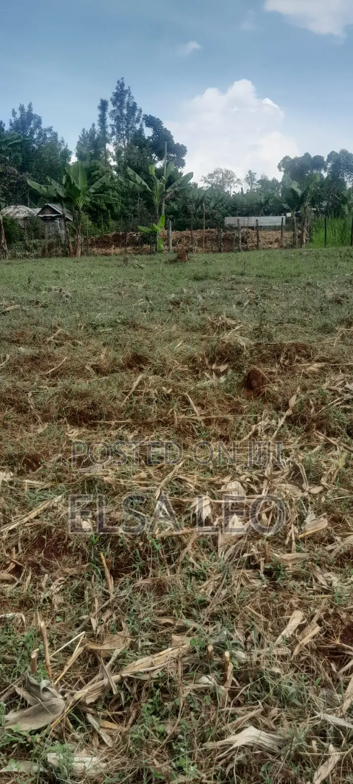 Plot for Sale: Mosocho, Kisii County