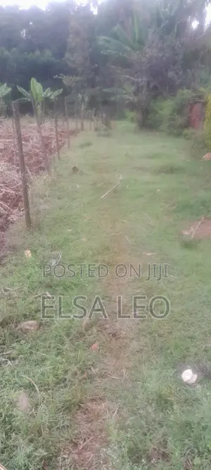Plot for Sale: Mosocho, Kisii County