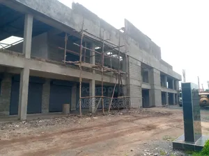 Civil and Structural Engineer