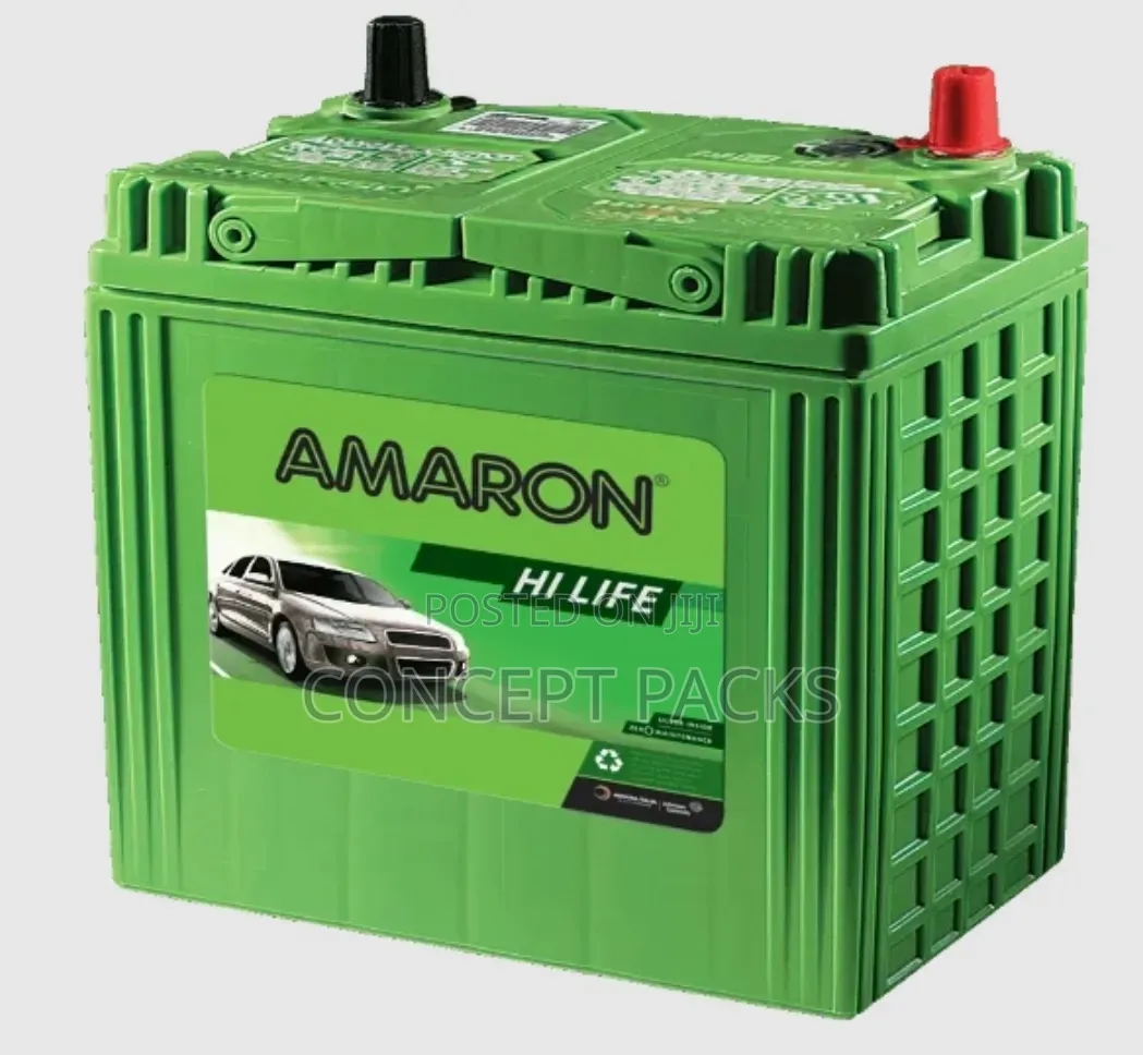 Amaron Hi Life NS40L