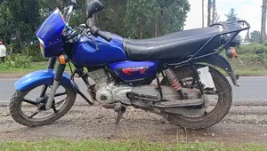 Bajaj 2025 Blue