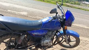 Bajaj 2025 Blue