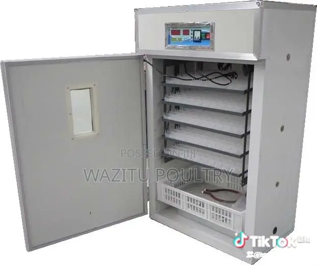 128 Egg's Incubator