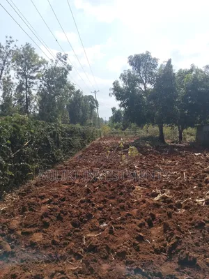 1 Acre on Sale at Gatanga.