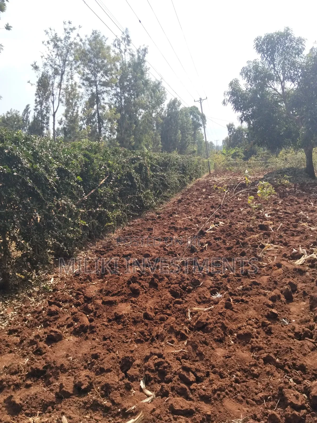 1 Acre on Sale at Gatanga.