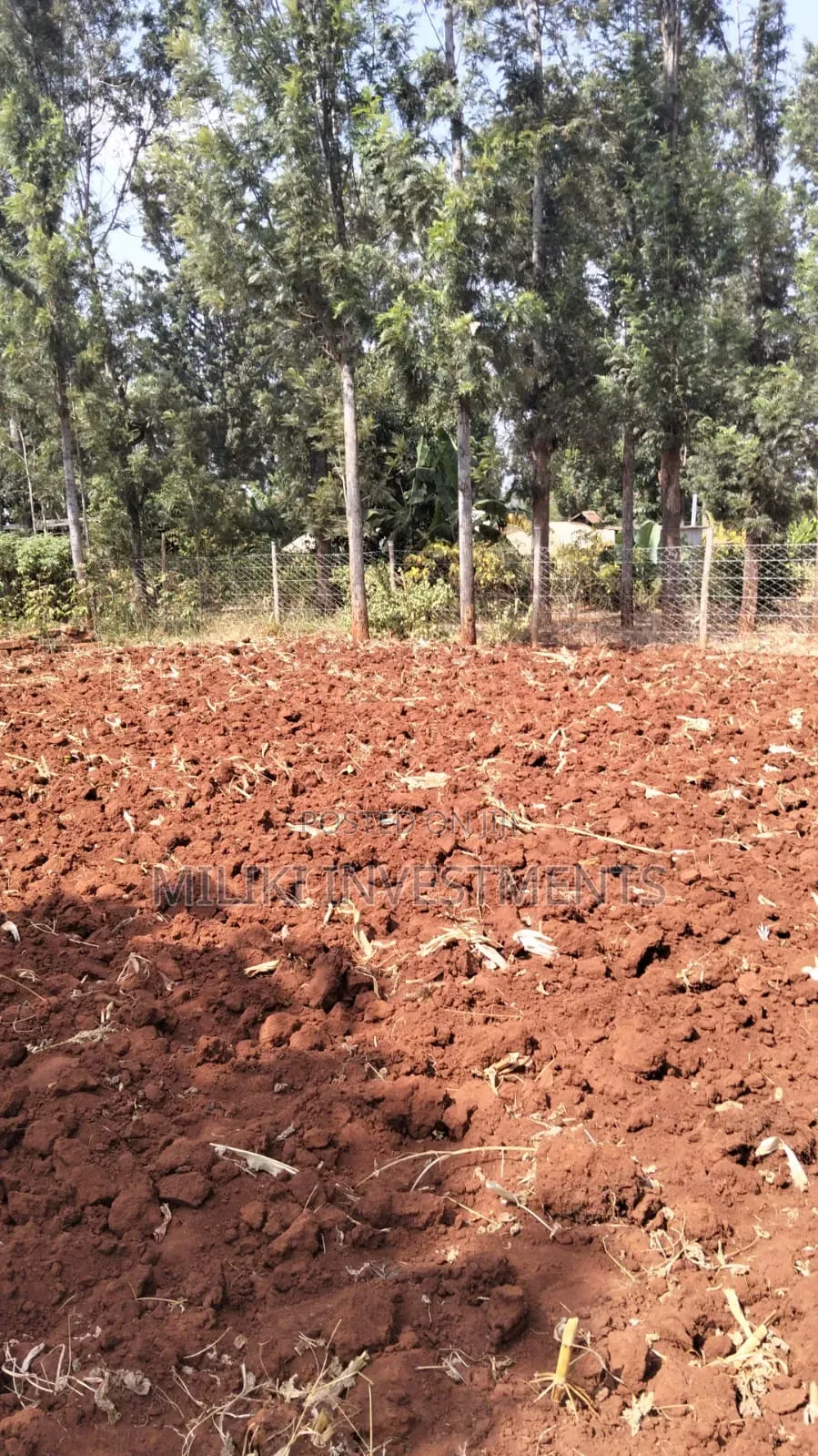1 Acre on Sale at Gatanga.