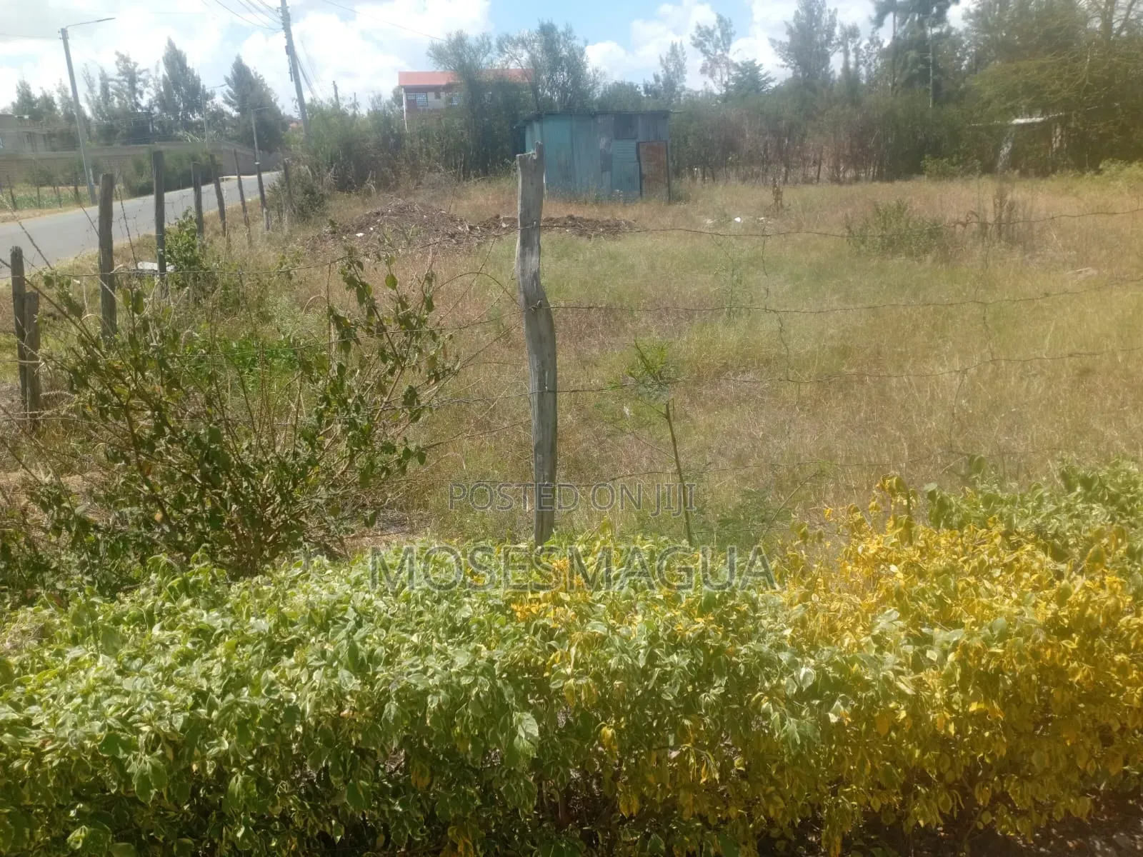 100 X 100 Prime Plot in Ruai
