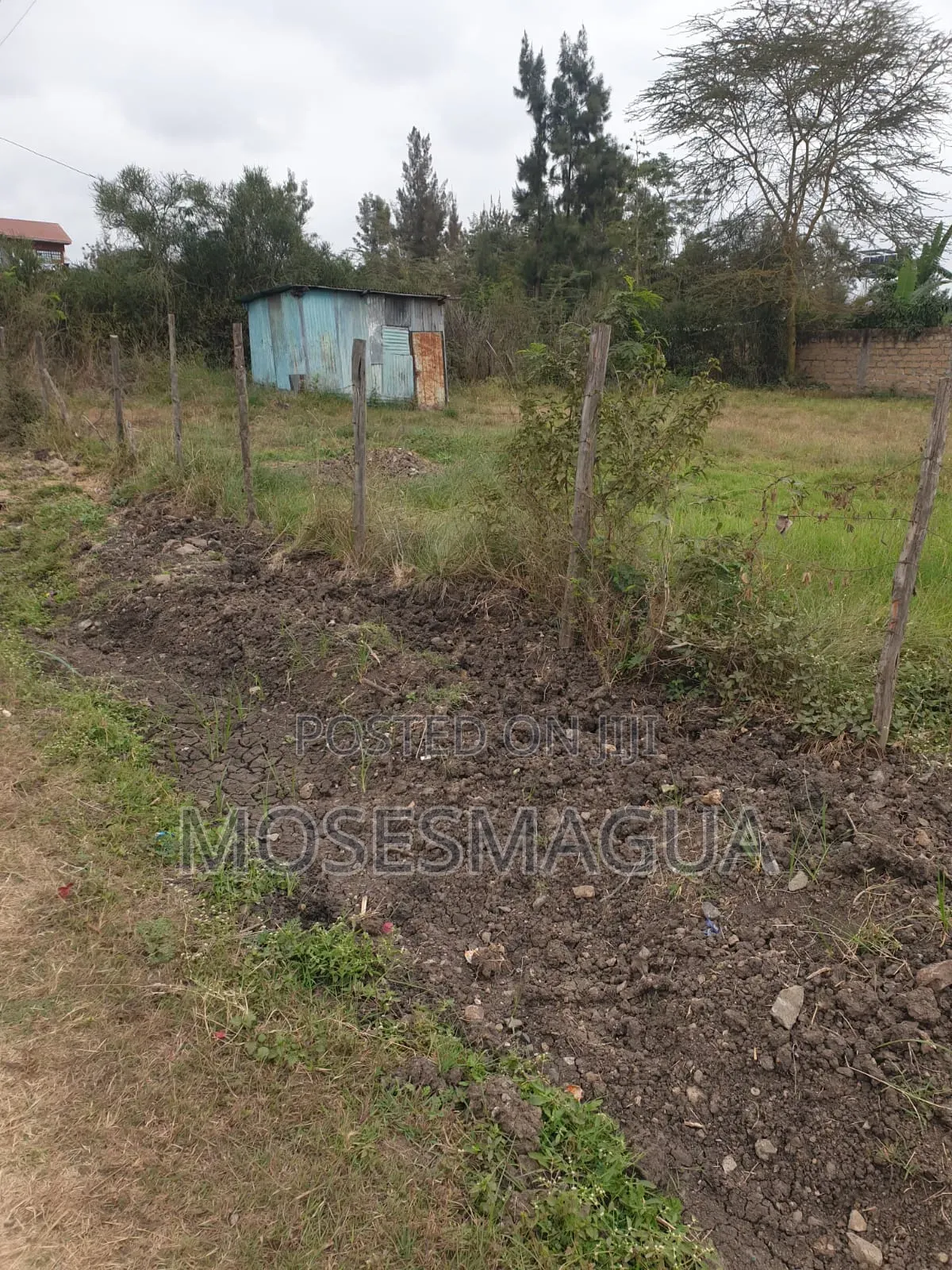 100 X 100 Prime Plot in Ruai