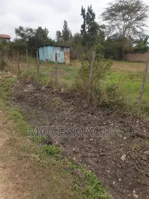 100 X 100 Prime Plot in Ruai