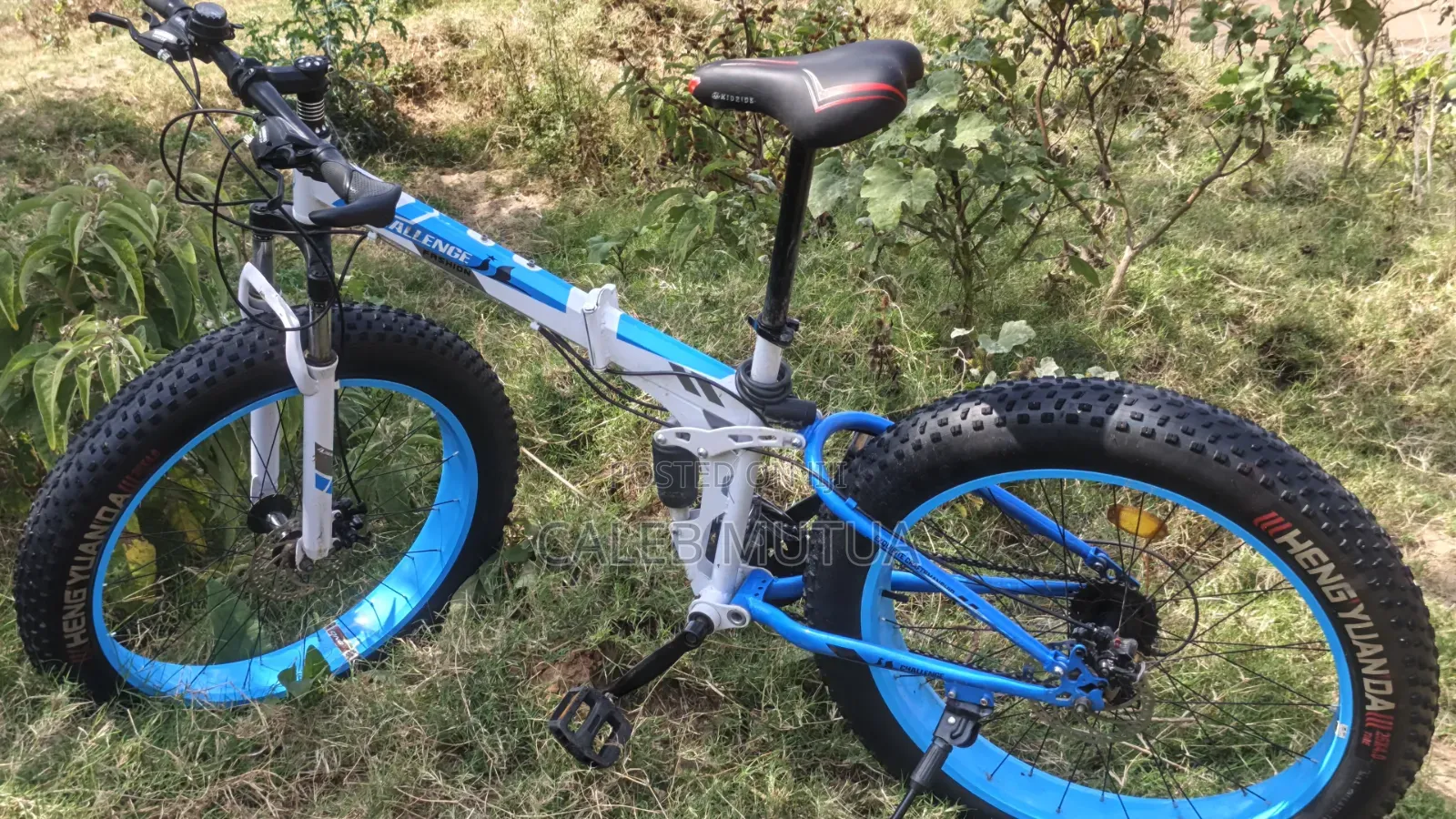 Fat Wheel Bicycle