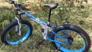 Fat Wheel Bicycle