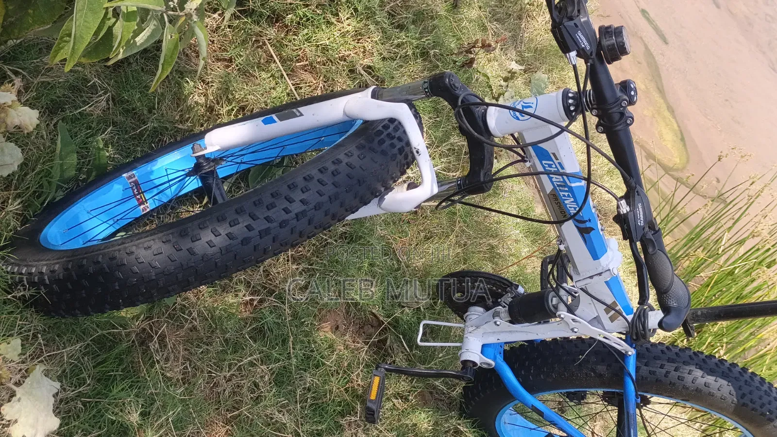 Fat Wheel Bicycle