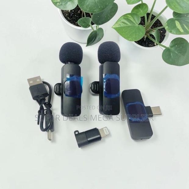 Professional Results Mini Lapel Lavalier Dual Wireless Microphone
