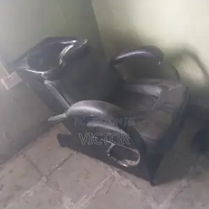 Executive Shampoo Sink